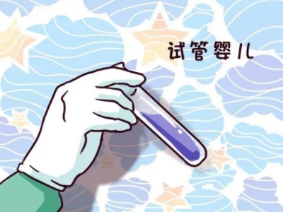 供卵试管服务